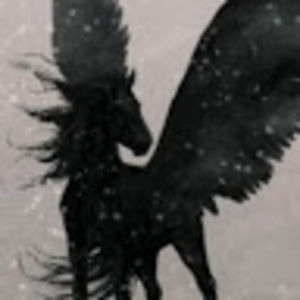 Meet your Posher, Brooklyn